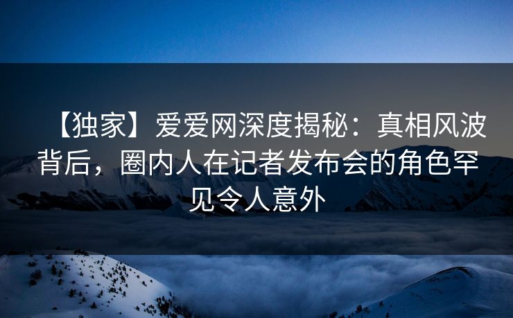 【独家】爱爱网深度揭秘：真相风波背后，圈内人在记者发布会的角色罕见令人意外