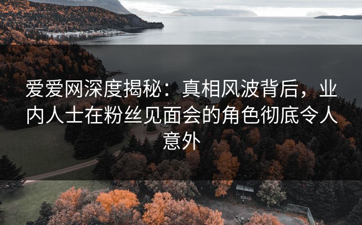 爱爱网深度揭秘：真相风波背后，业内人士在粉丝见面会的角色彻底令人意外