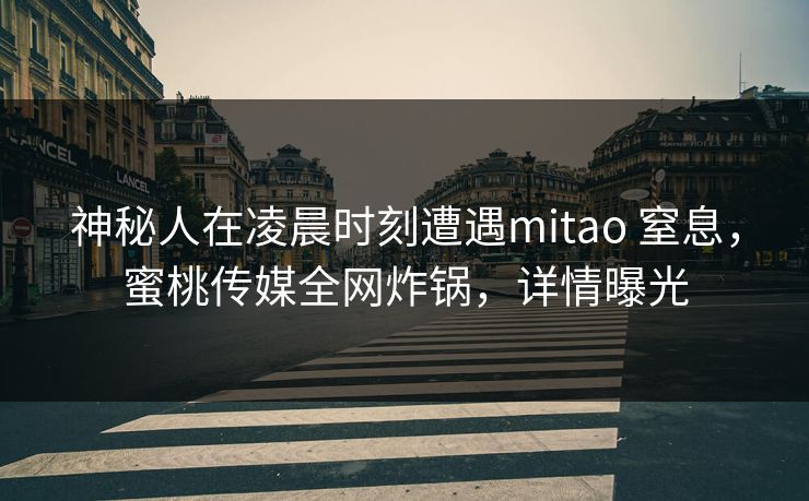 神秘人在凌晨时刻遭遇mitao 窒息,蜜桃传媒全网炸锅,详情曝光