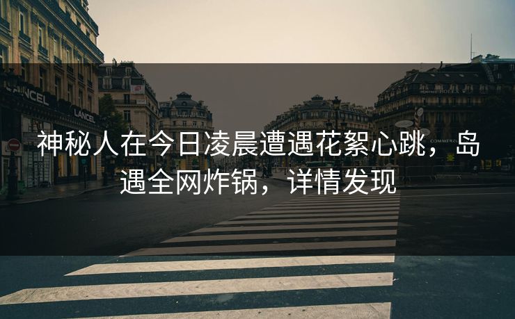 神秘人在今日凌晨遭遇花絮心跳,岛遇全网炸锅,详情发现