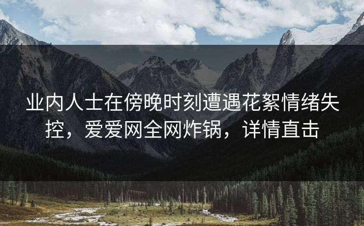 业内人士在傍晚时刻遭遇花絮情绪失控,爱爱网全网炸锅,详情直击