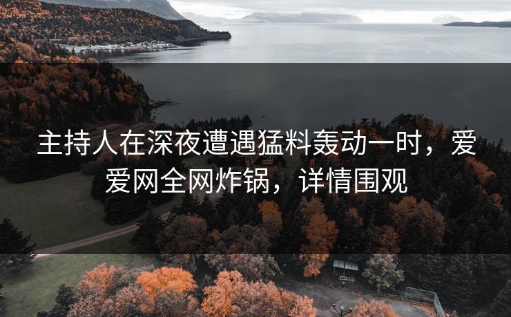 主持人在深夜遭遇猛料轰动一时,爱爱网全网炸锅,详情围观 主持人在深夜遭遇猛料轰动一时,爱爱网全网炸锅,详情围观