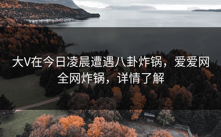 大V在今日凌晨遭遇八卦炸锅,爱爱网全网炸锅,详情了解